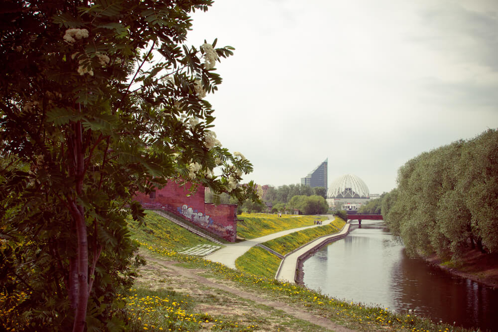 From above, Дмитрий Афонин, 2010