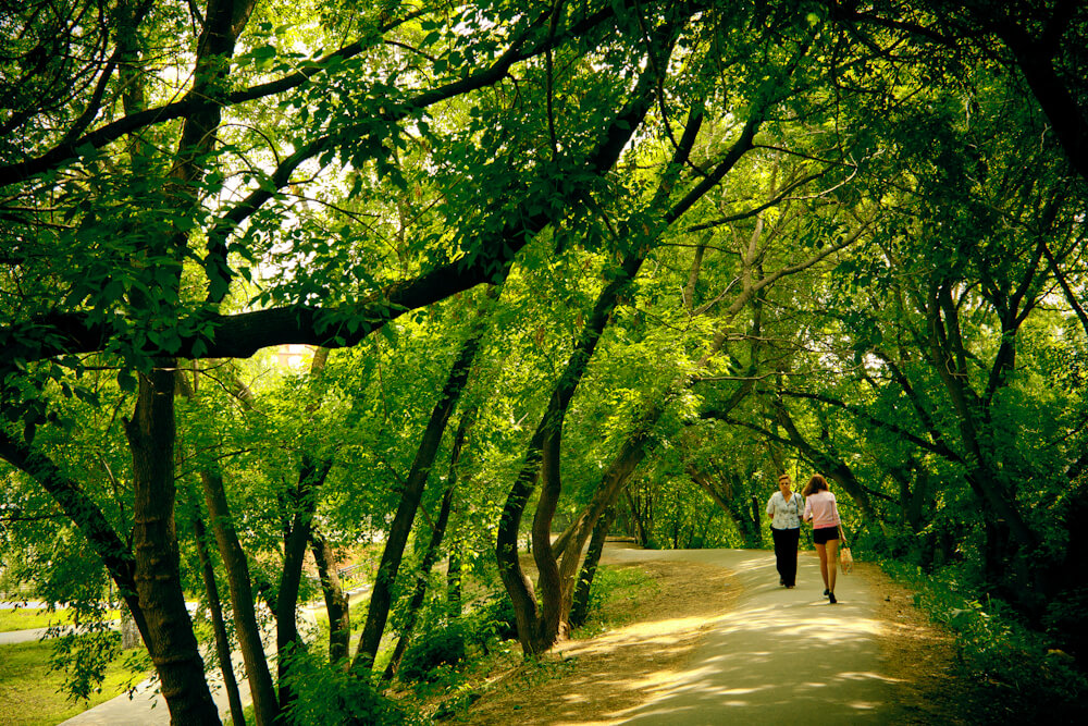 Greenway, Дмитрий Афонин, 2010